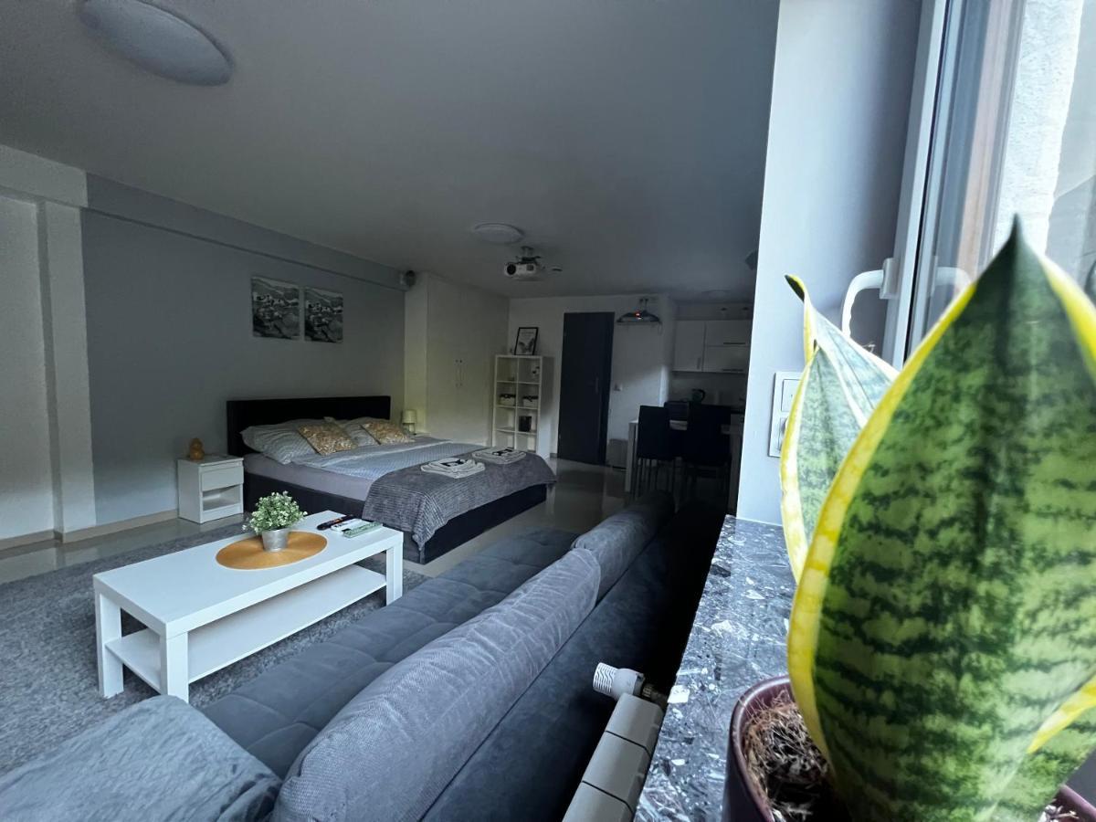 Apartament Play Pietrzykowice  Dış mekan fotoğraf